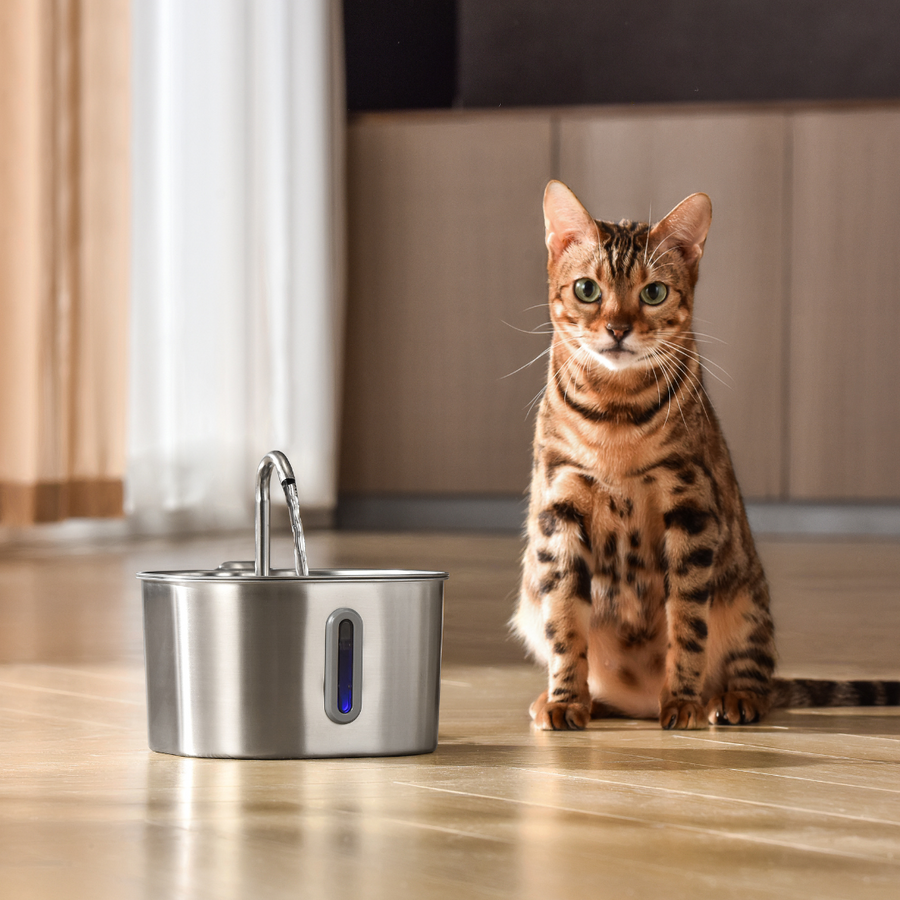 Purrify Stainless Steel Water Fountain