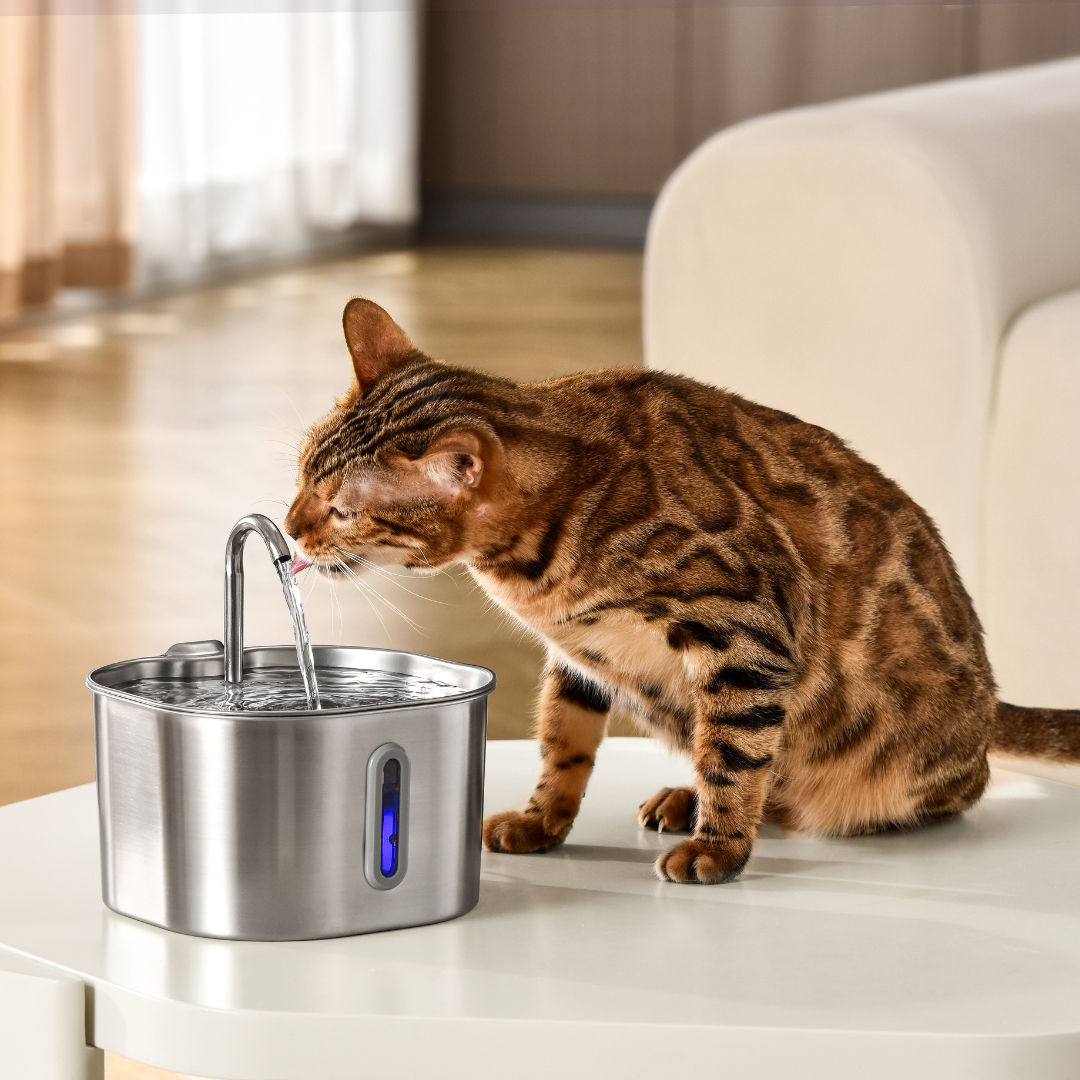 Purrify Stainless Steel Water Fountain