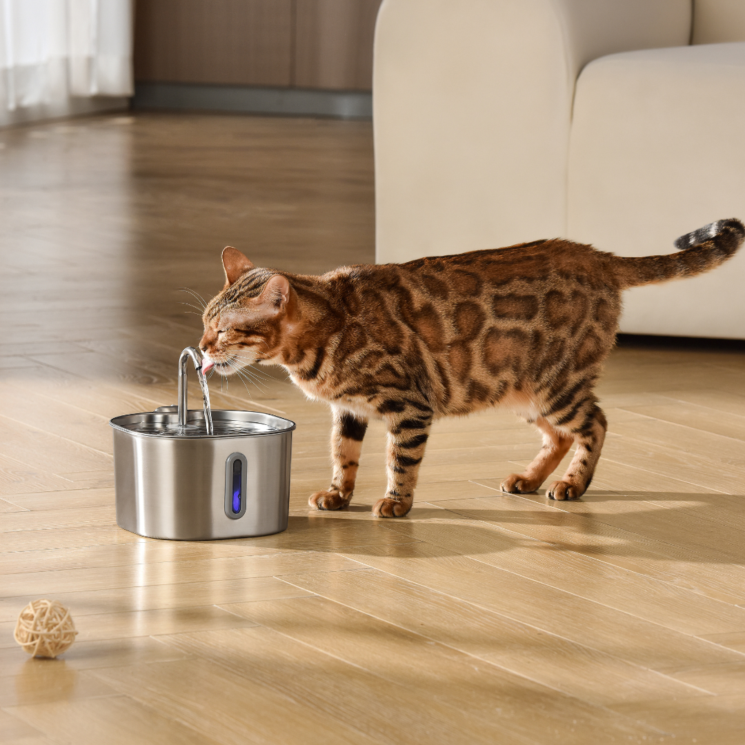 Purrify Stainless Steel Water Fountain