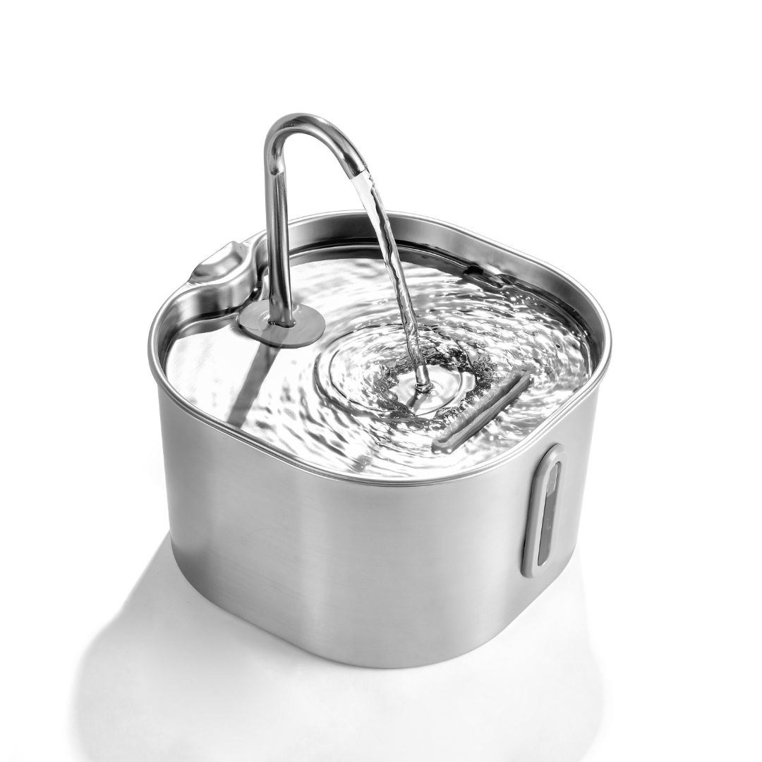 Purrify Stainless Steel Water Fountain