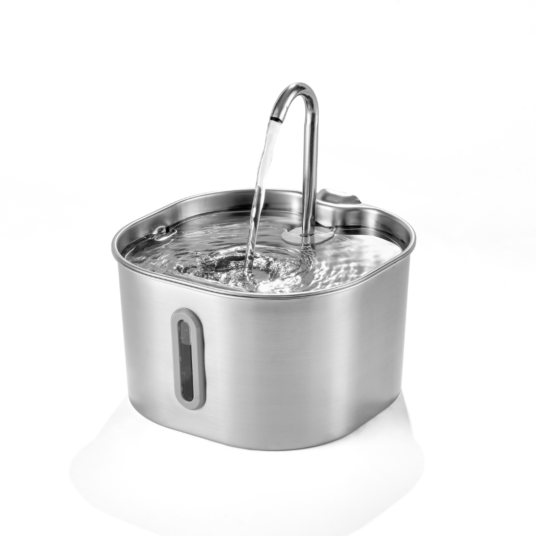 Purrify Stainless Steel Water Fountain