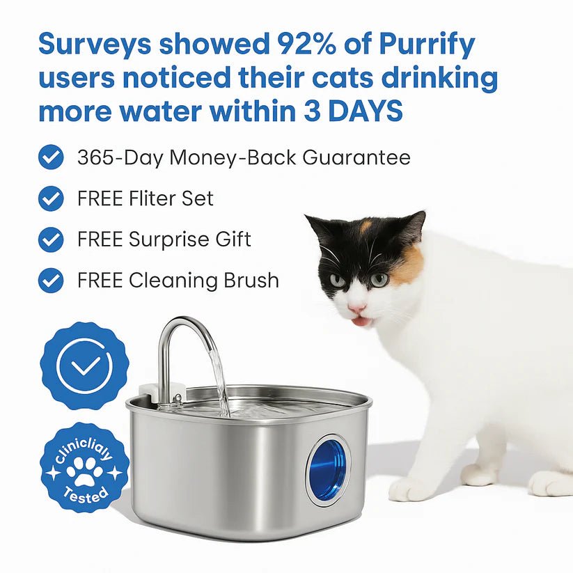 Purrify Stainless Steel Water Fountain - Purrify
