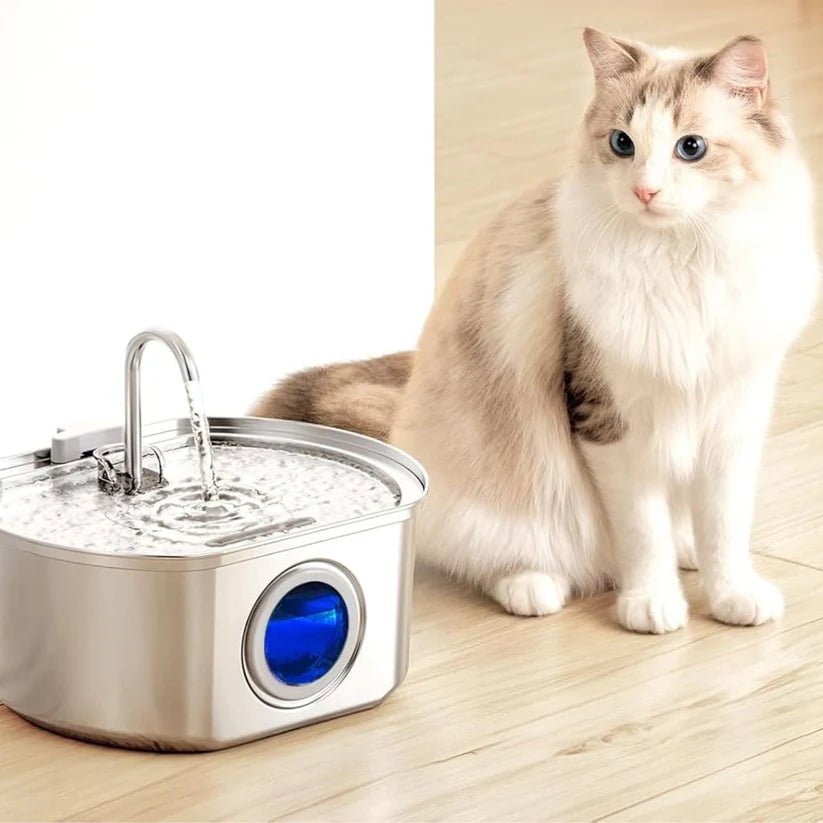 Purrify Stainless Steel Water Fountain - Purrify