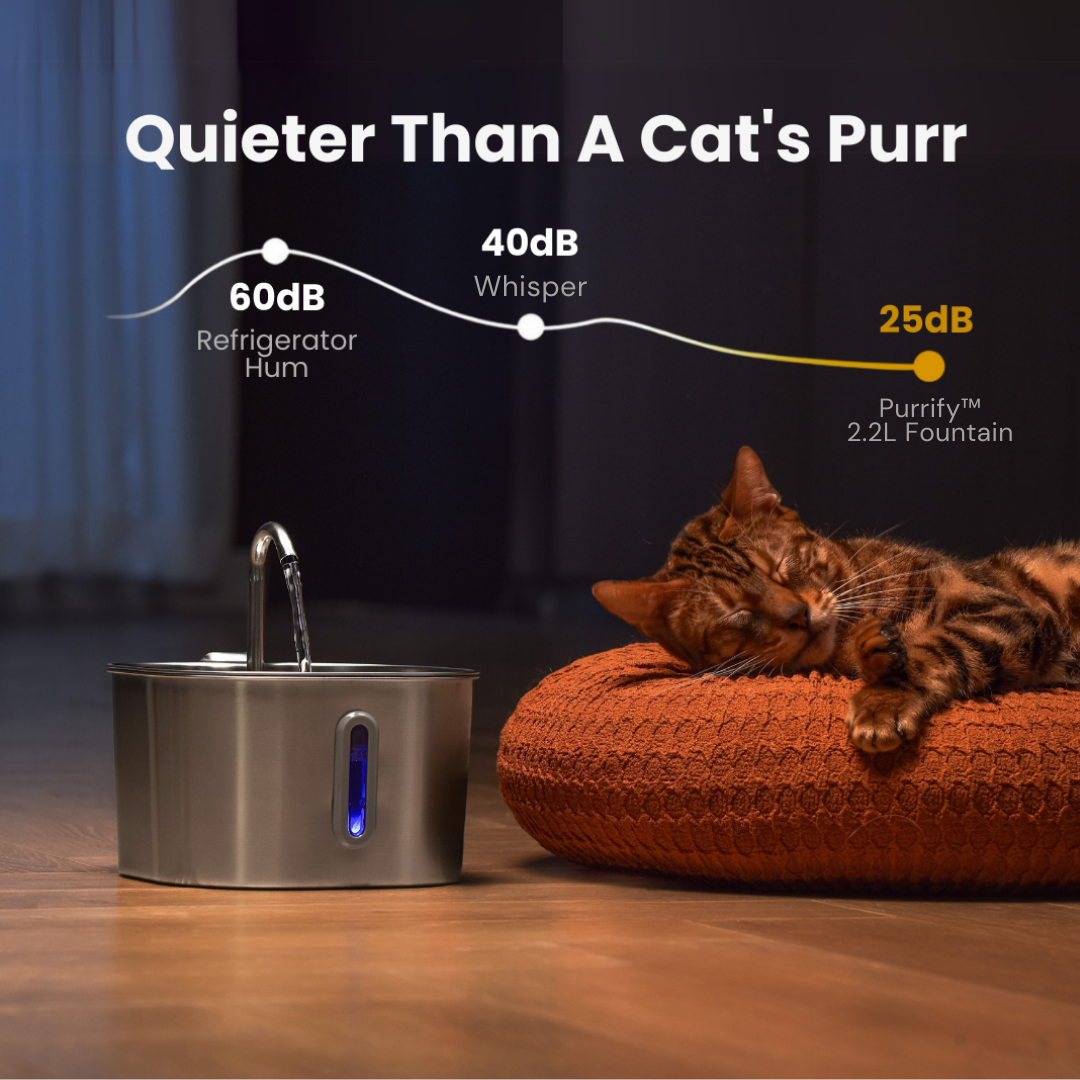Purrify Stainless Steel Water Fountain