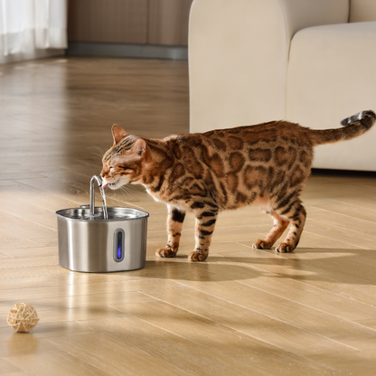 Purrify Stainless Steel Water Fountain