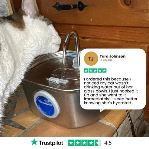 Purrify Stainless Steel Water Fountain - Purrify