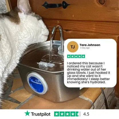 Purrify Stainless Steel Water Fountain - Purrify