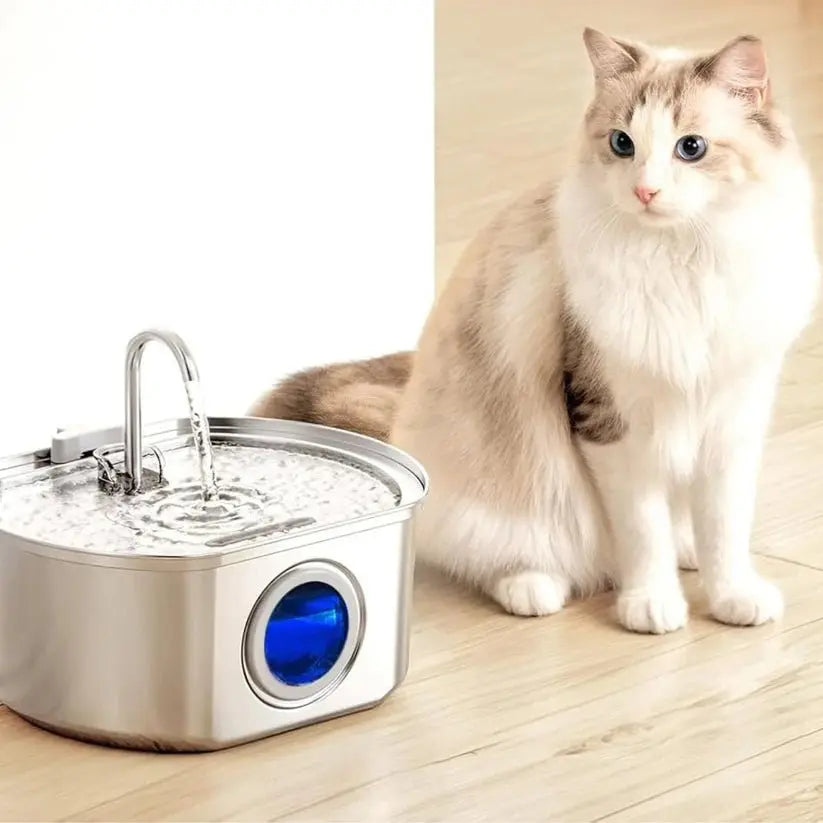 Purrify Stainless Steel Water Fountain - Purrify
