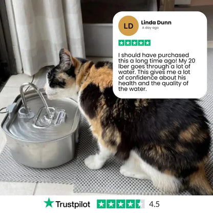 Purrify Stainless Steel Water Fountain - Purrify