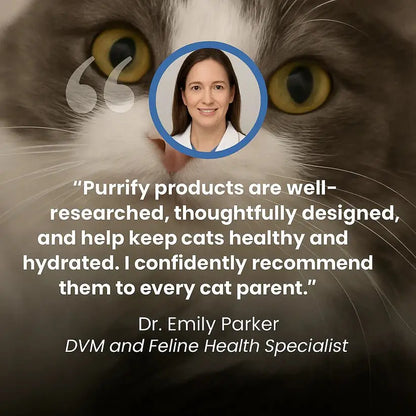 Purrify Stainless Steel Water Fountain - Purrify